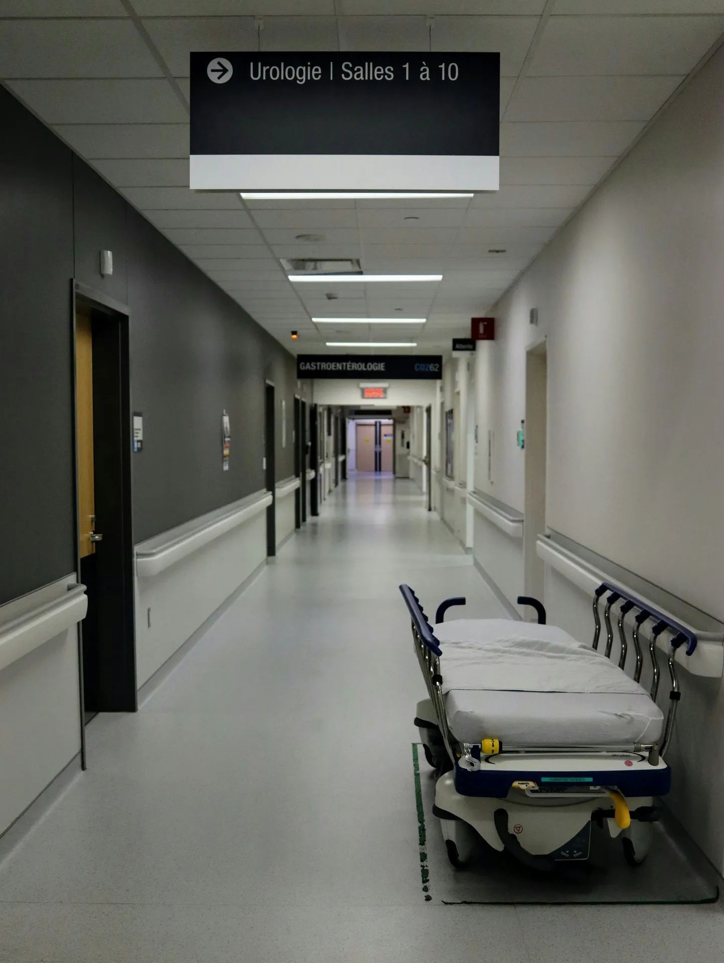 Sundhedssektoren og kritiske miljøer